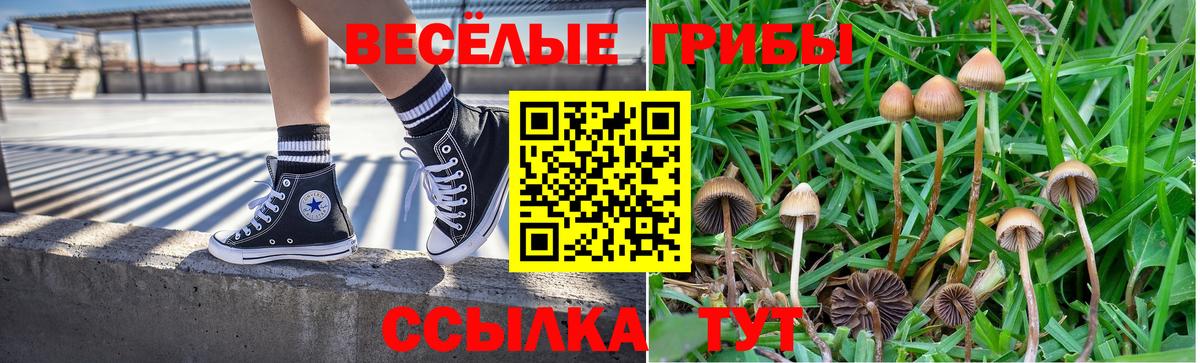 Светлоград  Галлюциногенные грибы мухоморы  где продают   Вход с VPN 