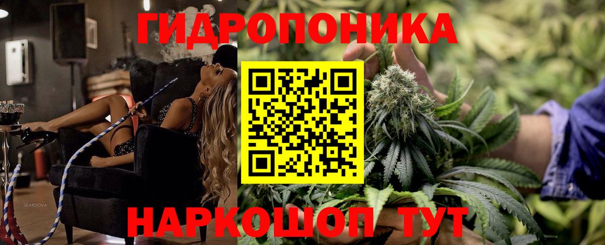 Светлоград  Бошки Шишки AK-47  Вход с VPN  МАРИХУАНА THC 21%  Бошки Шишки семена 
